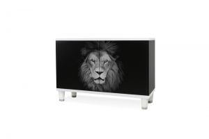 Szafka wielofunkcyjna LION